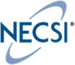 Logo NECSI