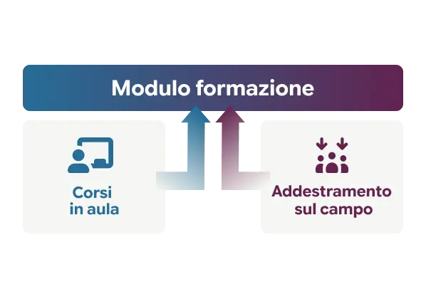 Separazione tra formazione e addestramento in Risolvo